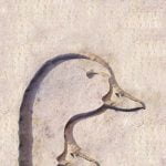 آثار و نشانه اردک در دفینه یابی